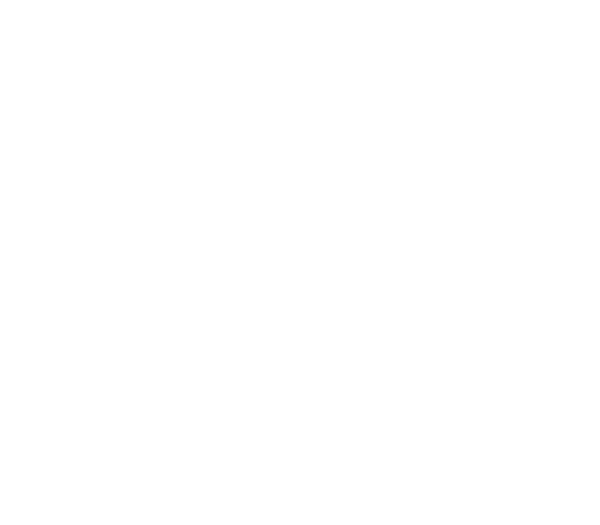 calypsosoftwarewhite